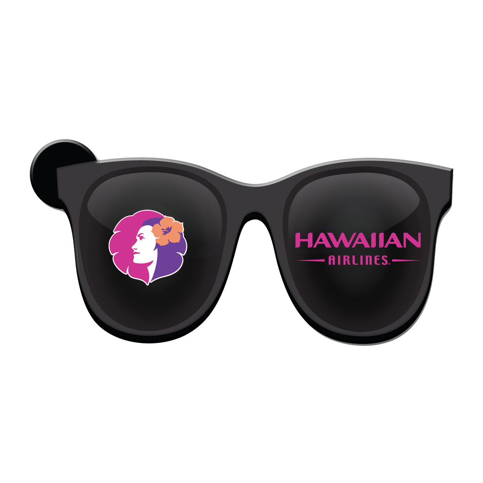 Sunglasses Magnet