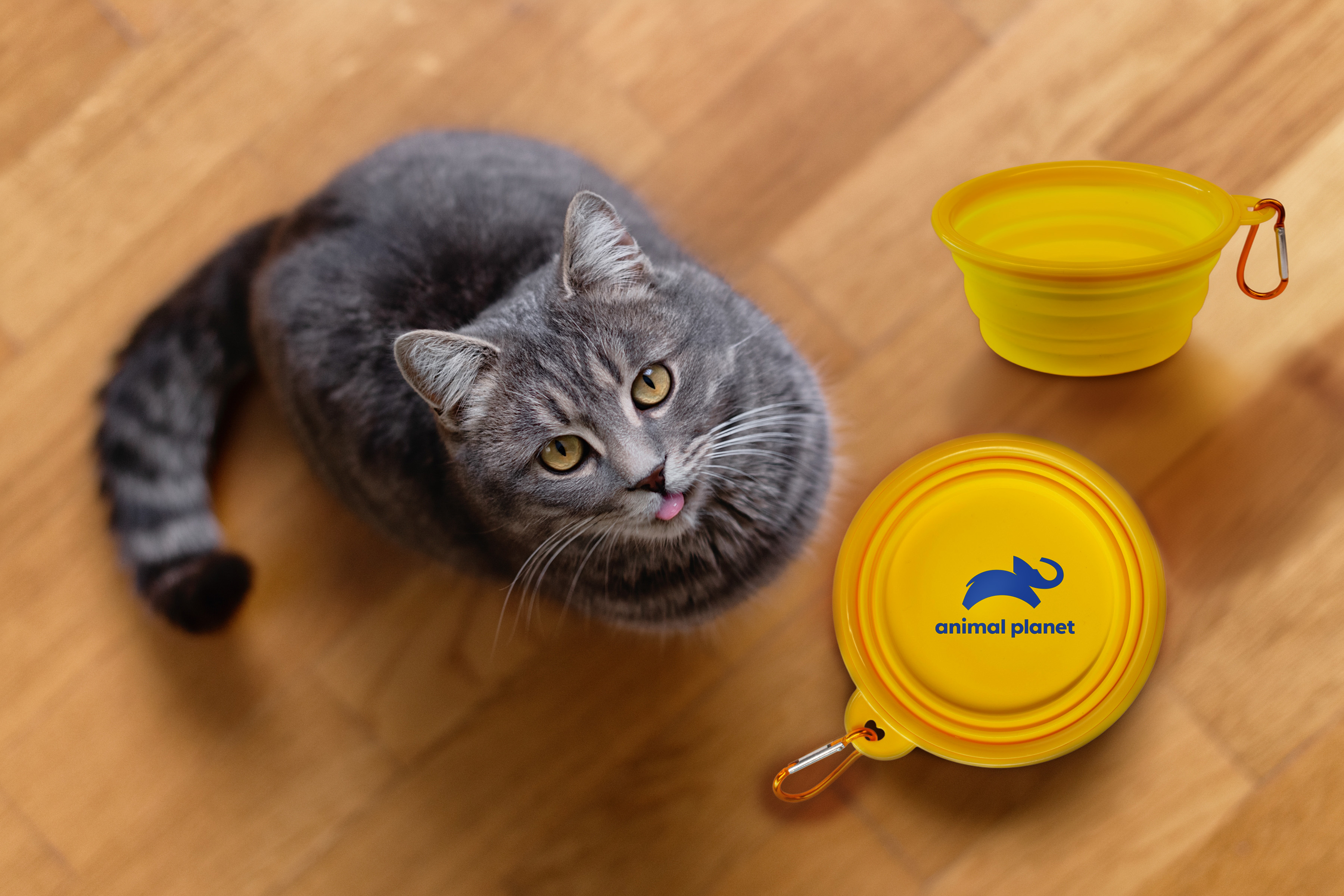 Pack A Pet Bowl (Air Freight)