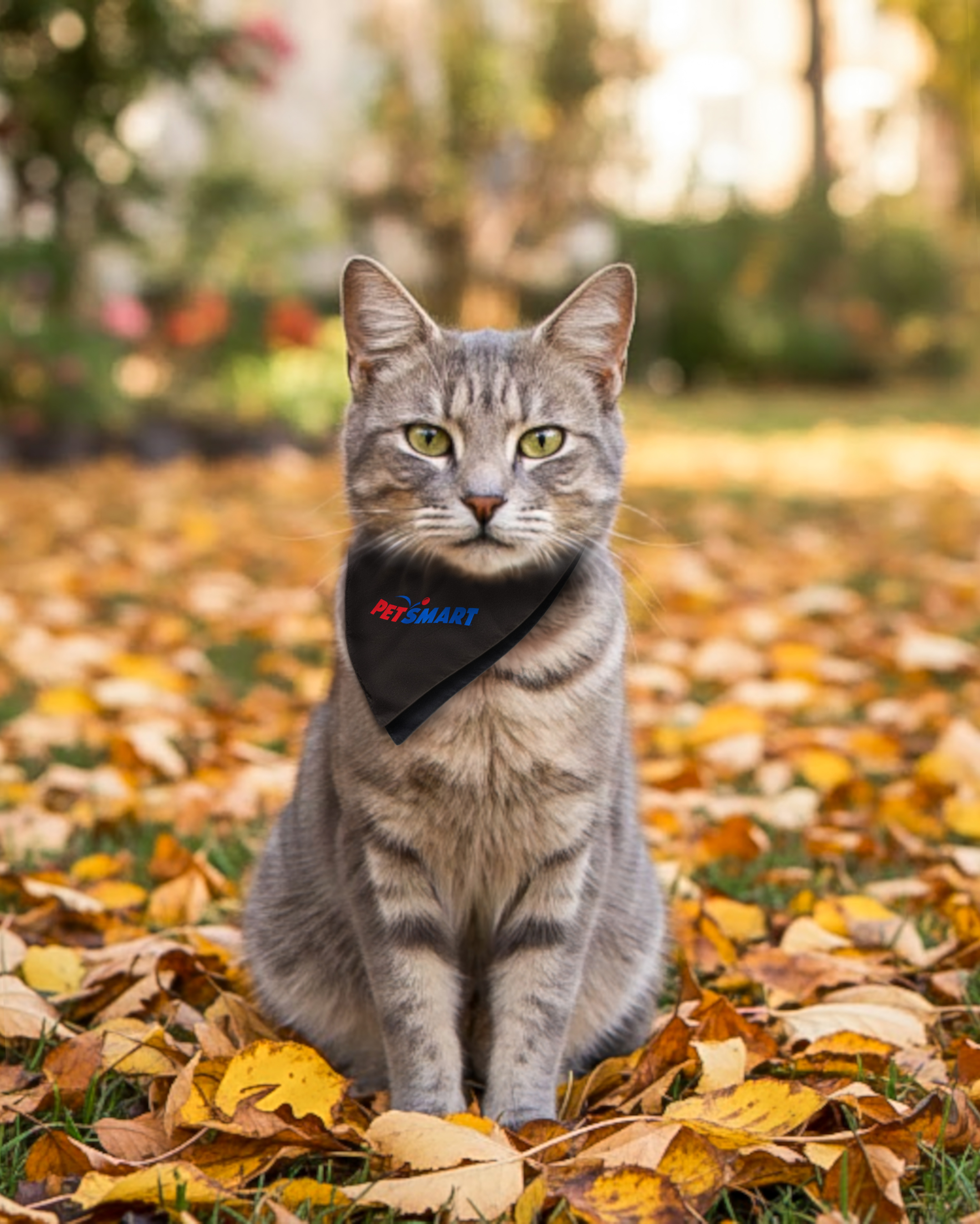 rPET Digitek Pet Bandana - Small