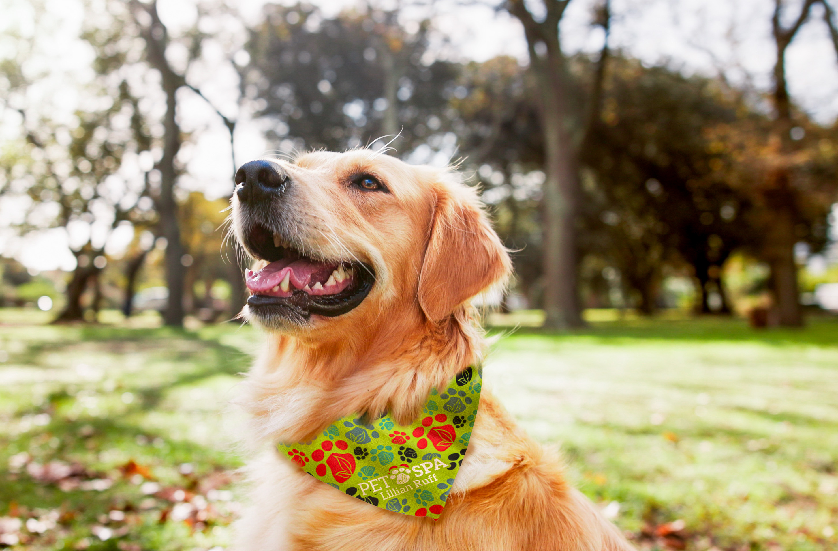 rPET Full Color Sublimated Pet Bandana - Large