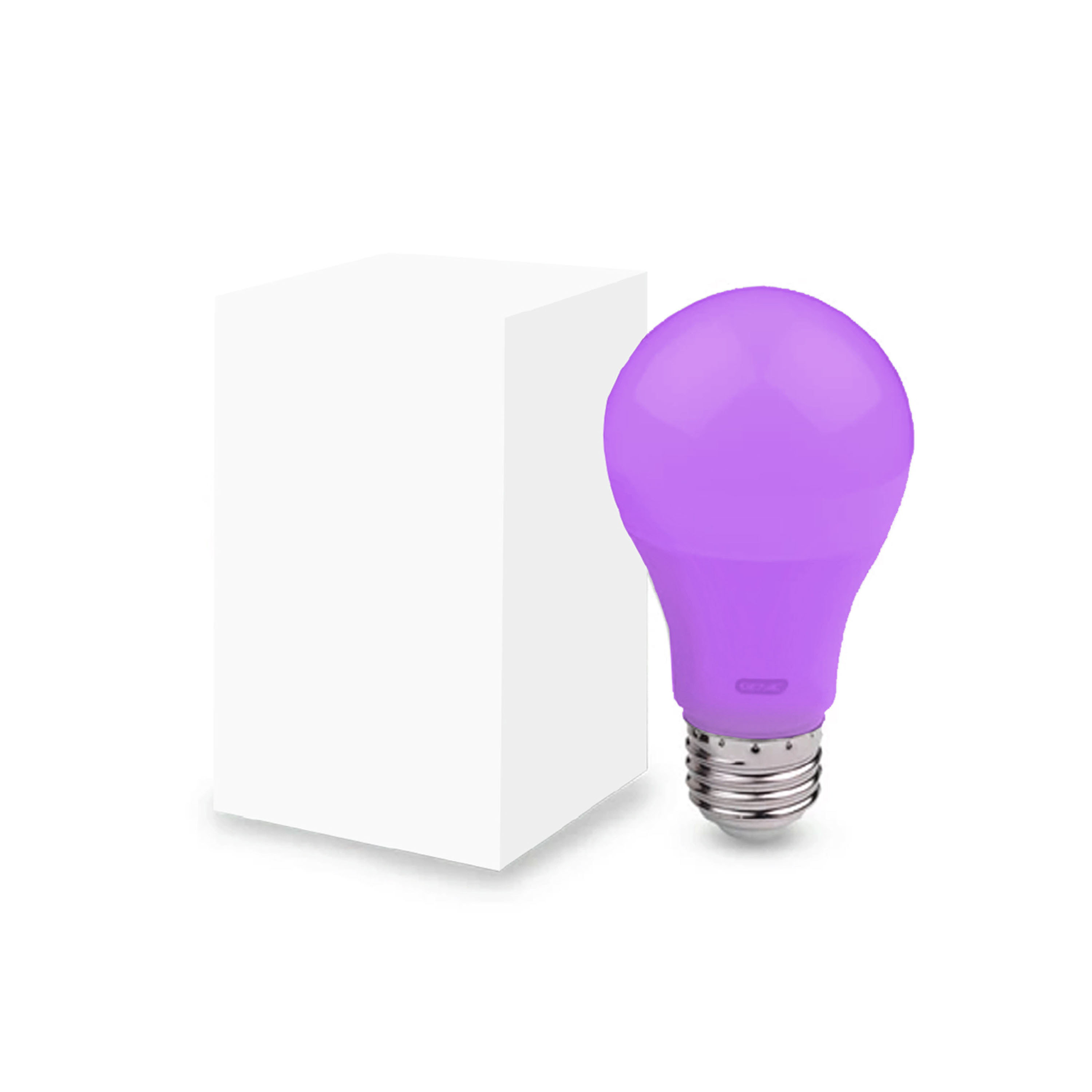 Shine On Awareness Blank Bulb Box (Air Freight)
